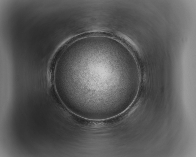 X0000101961310200807251146