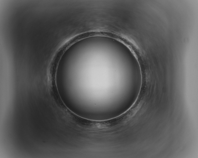 X0000101961311200807251146