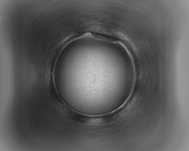 X0000101961313200807251146