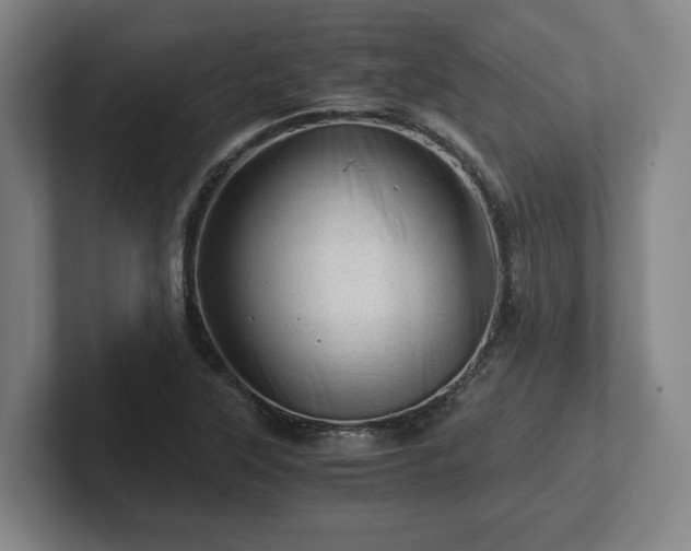 X0000101961315200807251146