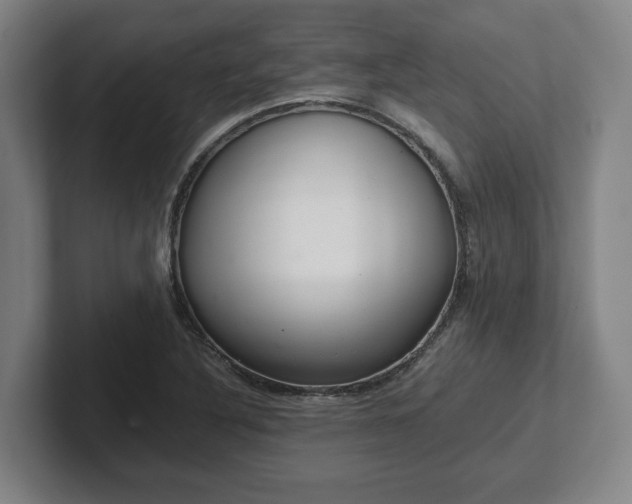 X0000101961316200807251146