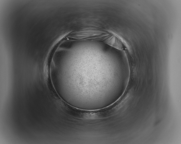 X0000101961317200807251146