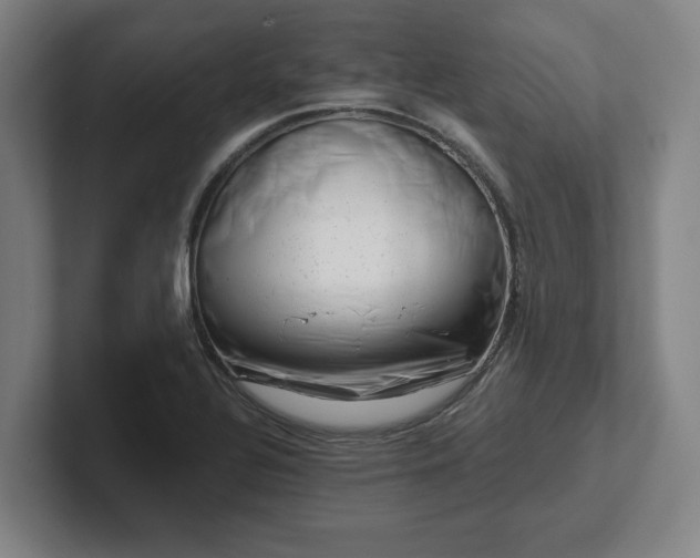 X0000101961320200807251147