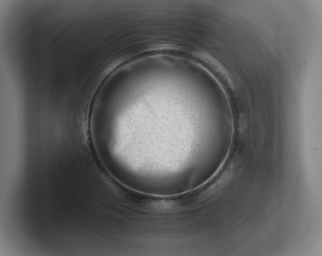 X0000101961321200807251147