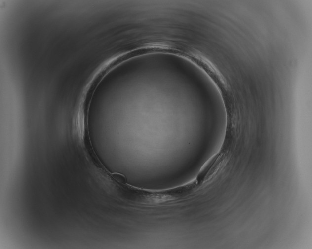 X0000101961323200807251147