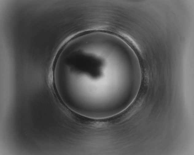 X0000101961324200807251147