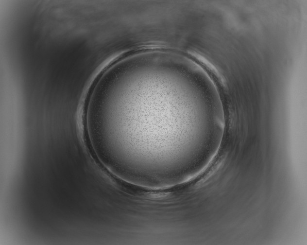 X0000101961325200807251147