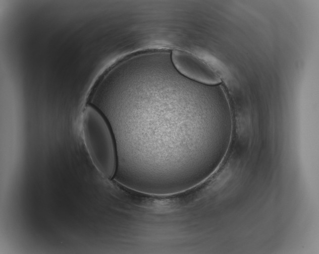 X0000101961326200807251147