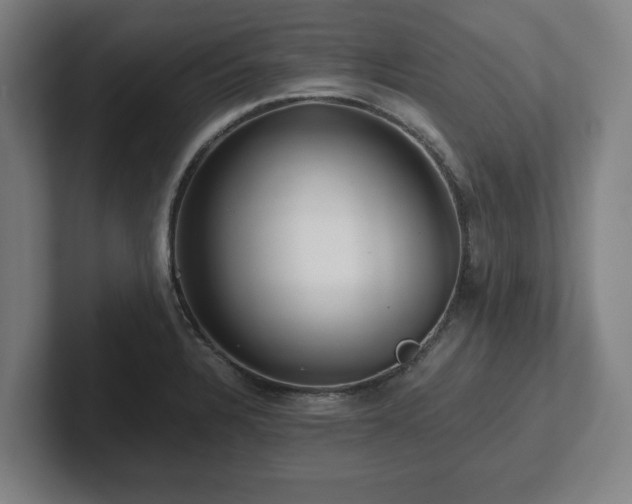 X0000101961328200807251147