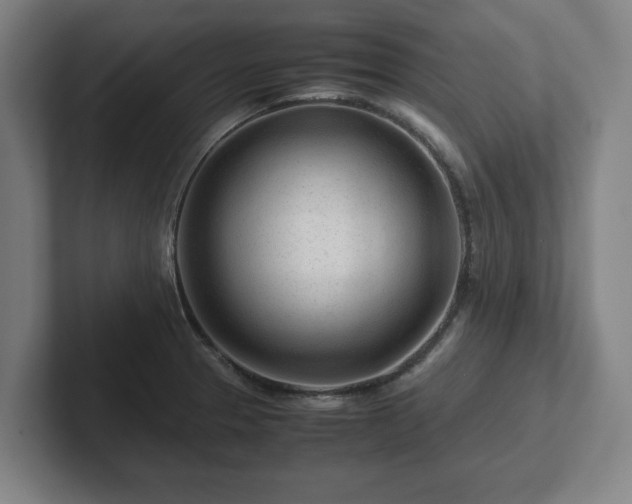 X0000101961329200807251147