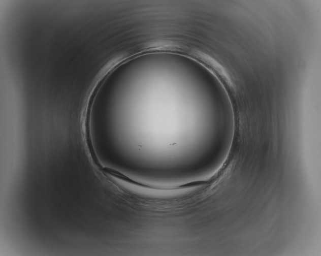 X0000101961330200807251147