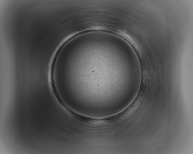 X0000101961331200807251147