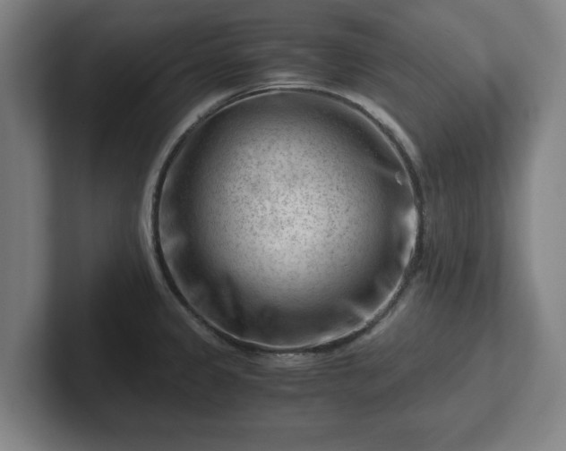 X0000101961333200807251147