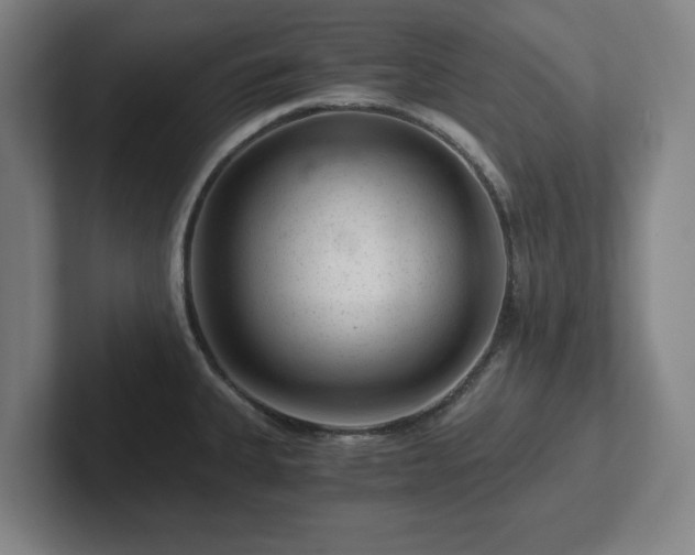 X0000101961335200807251147