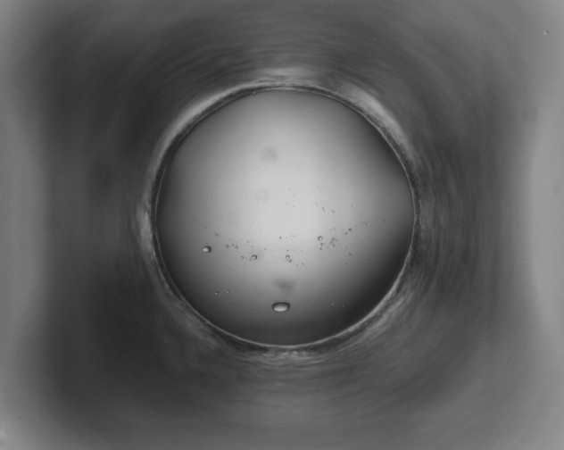 X0000101961336200807251147