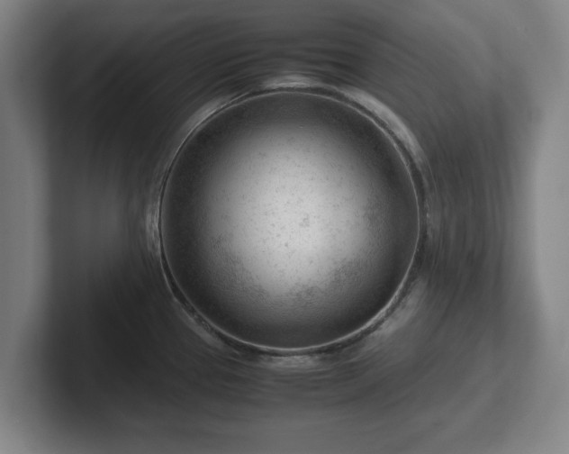 X0000101961337200807251147