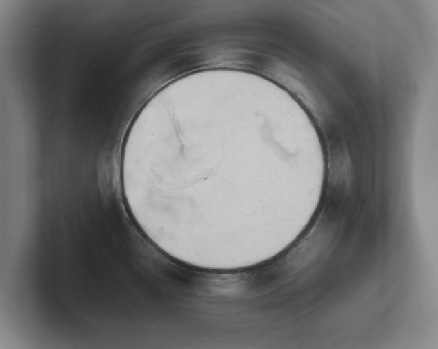 X0000101961338200807251147