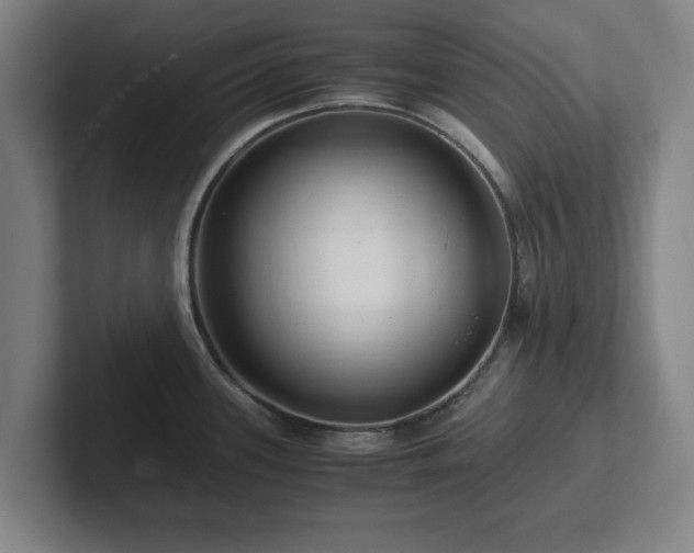 X0000101961339200807251147