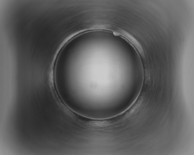 X0000101961340200807251147