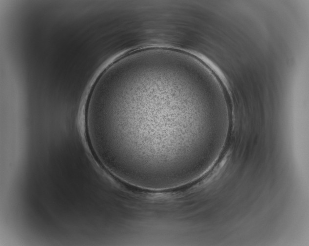 X0000101961341200807251147