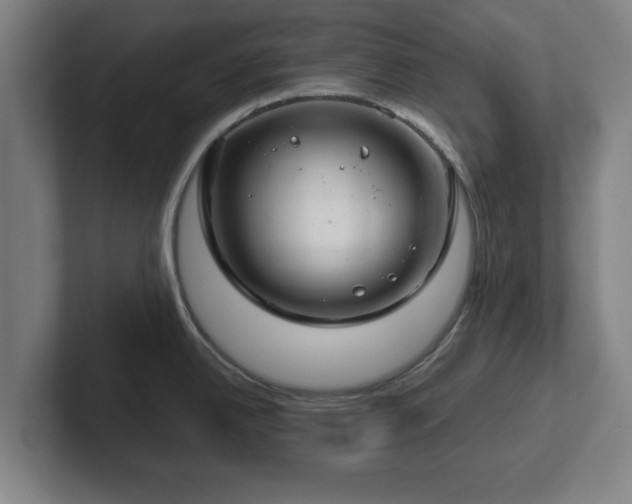 X0000101961342200807251147