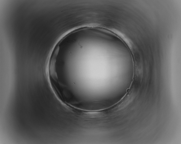 X0000101961343200807251147