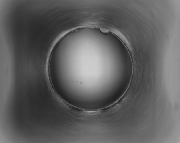 X0000101961344200807251147