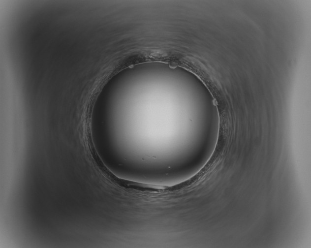 X0000101961345200807251146