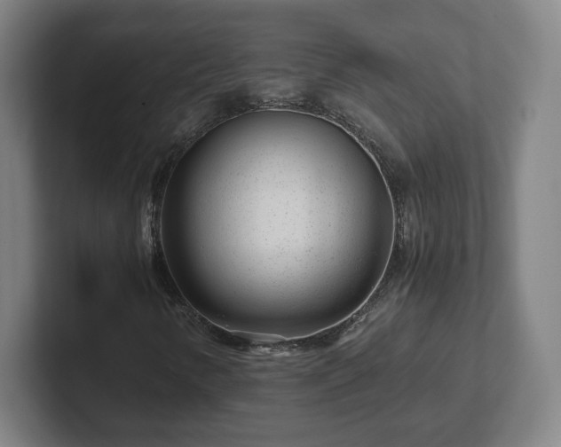 X0000101961346200807251146