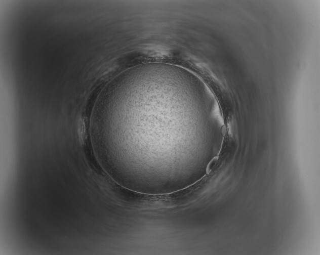 X0000101961347200807251146