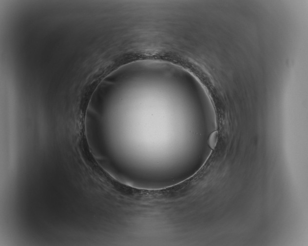 X0000101961349200807251146