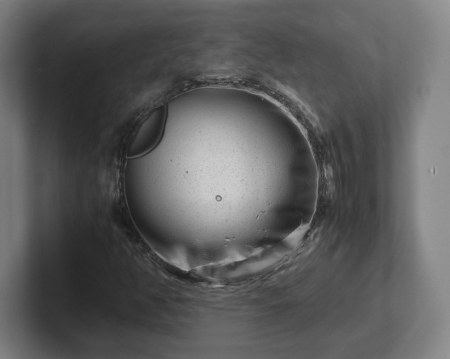 X0000101961350200807251146