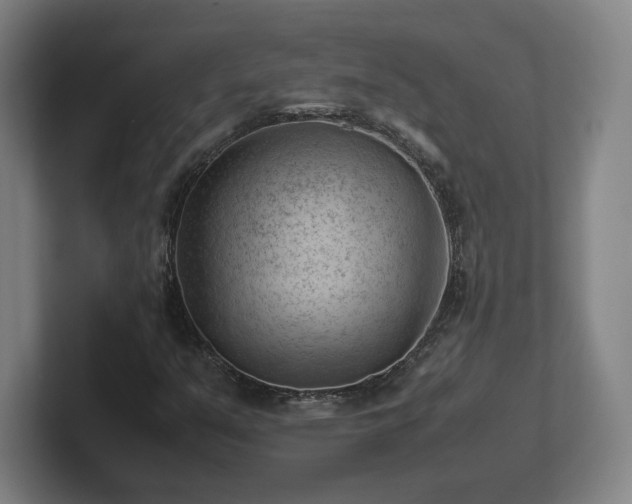 X0000101961351200807251146