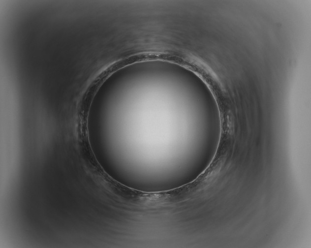 X0000101961352200807251146