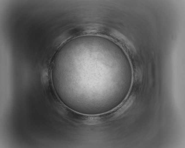 X0000101961353200807251146