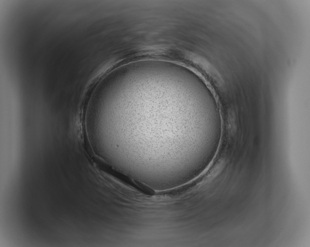 X0000101961354200807251146