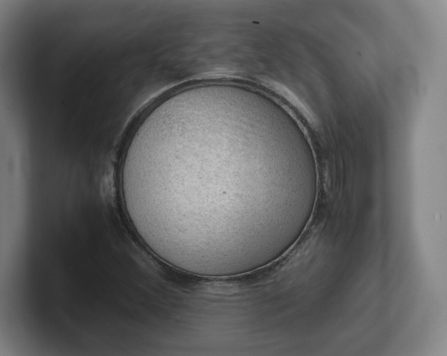 X0000101961356200807251146