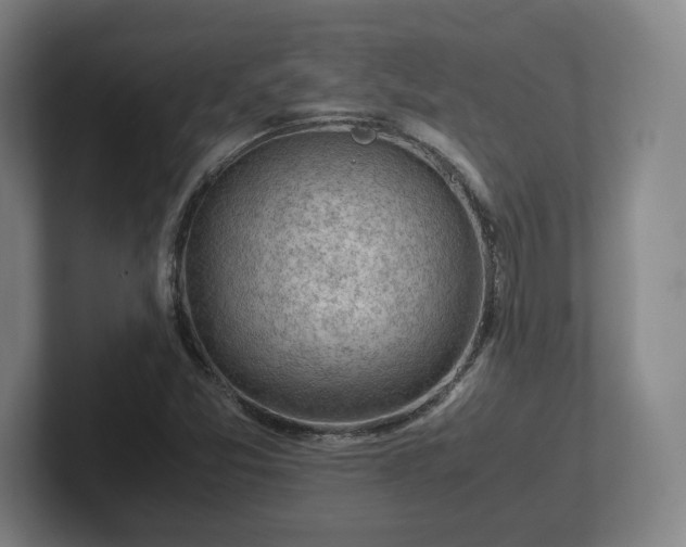 X0000101961357200807251146