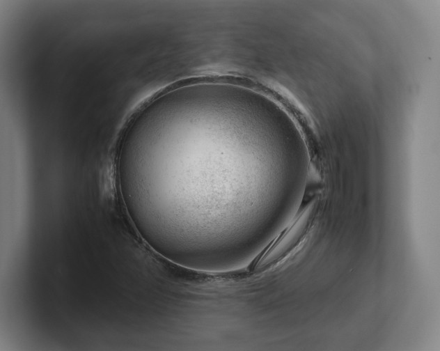 X0000101961358200807251146