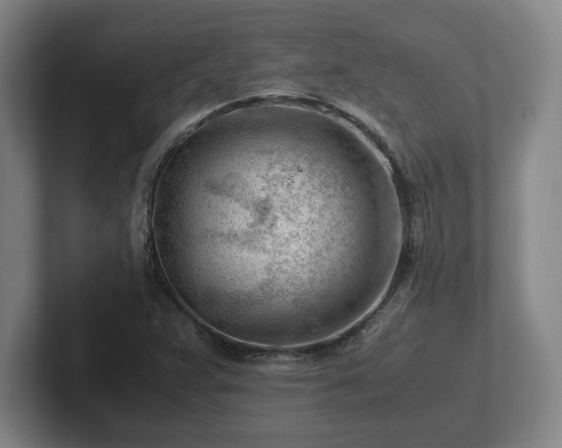 X0000101961359200807251146