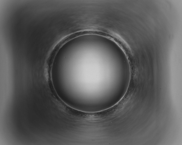 X0000101961360200807251146