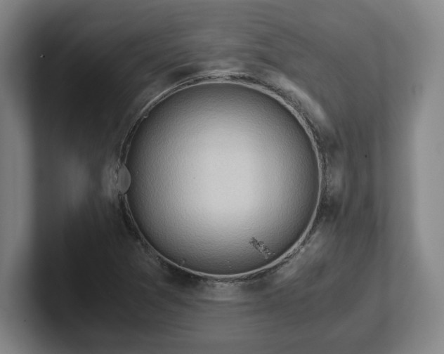 X0000101961361200807251146