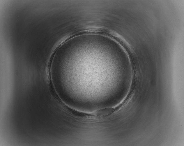 X0000101961362200807251146