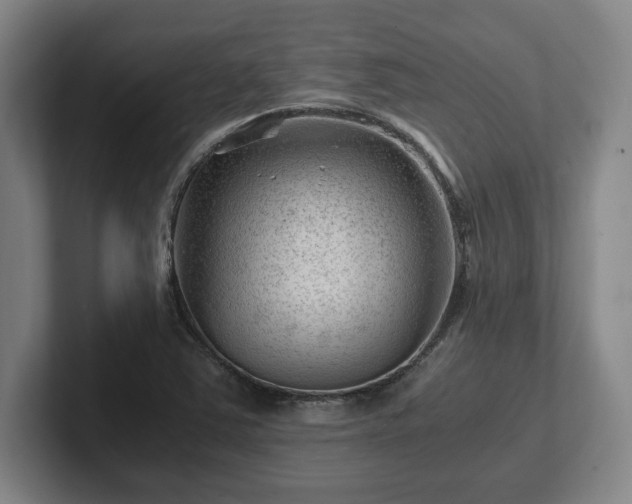 X0000101961363200807251146