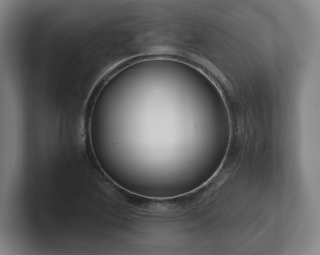 X0000101961364200807251146