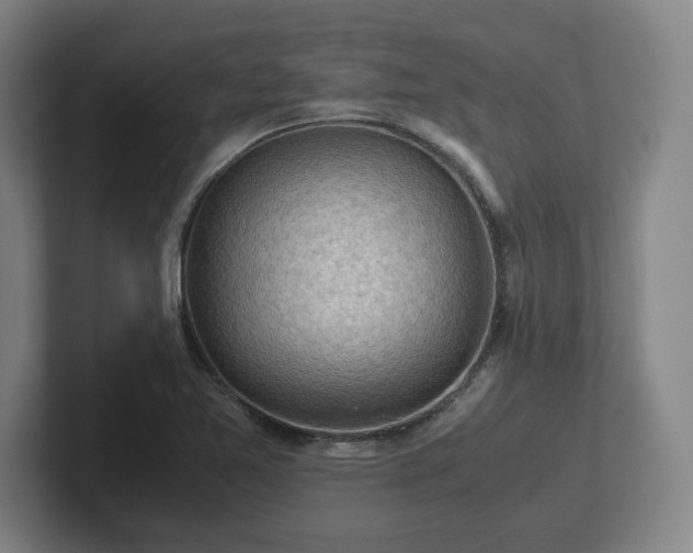 X0000101961365200807251146