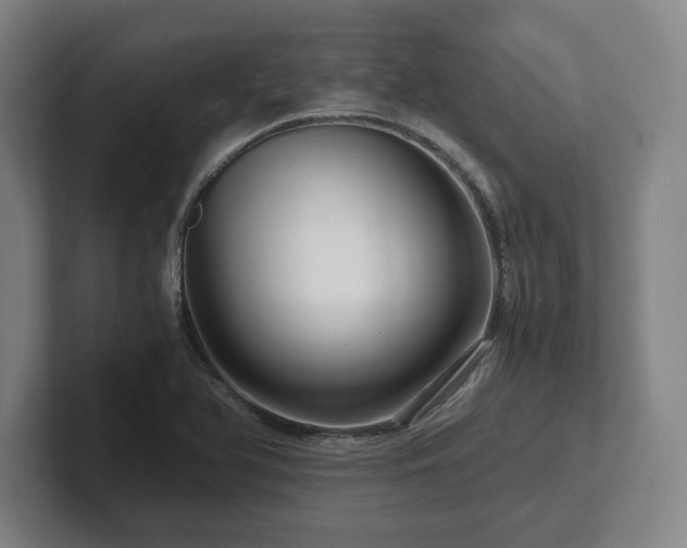 X0000101961366200807251146