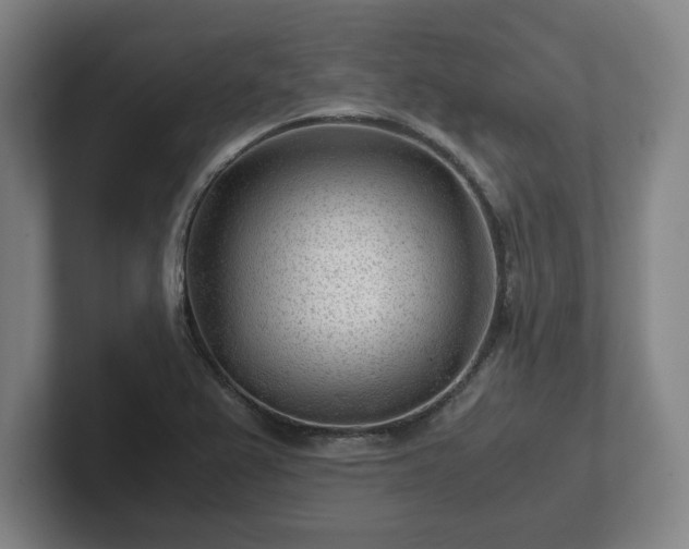 X0000101961367200807251146