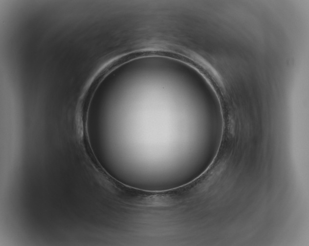 X0000101961368200807251146