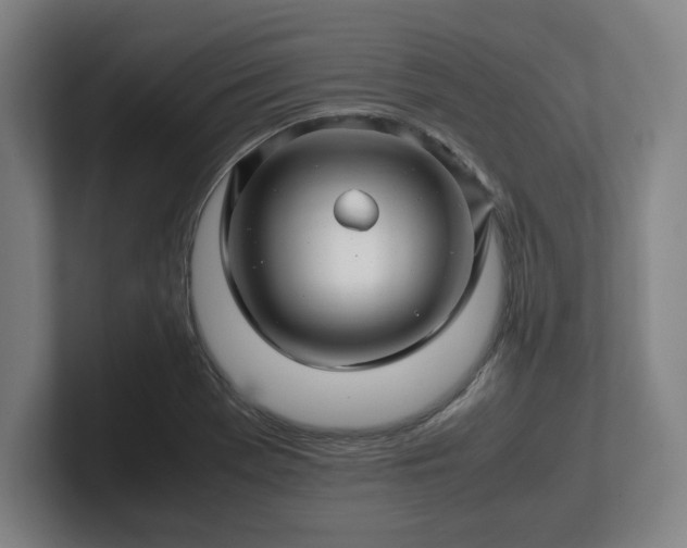 X0000101961369200807251146